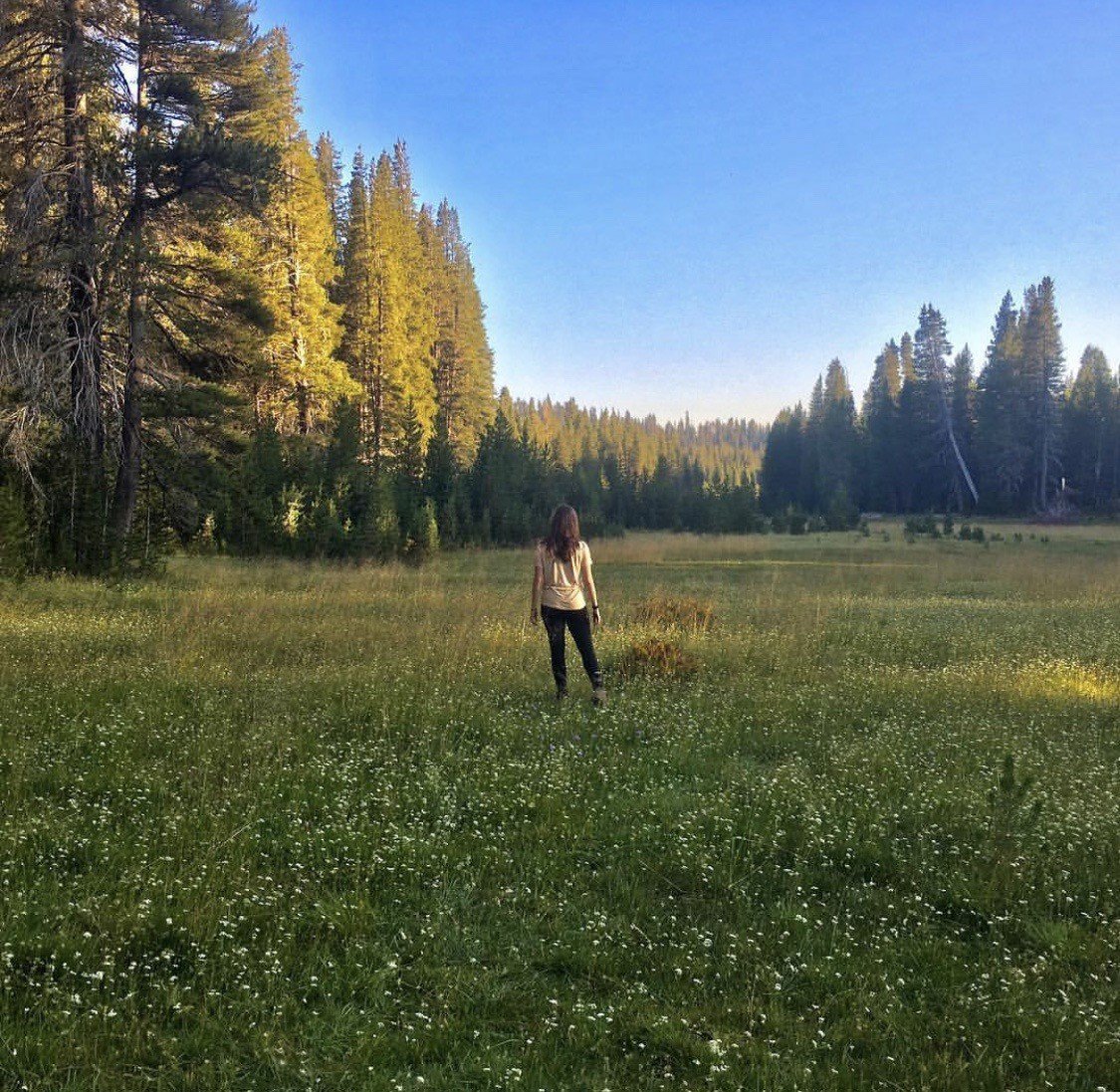 Woman in a meadow