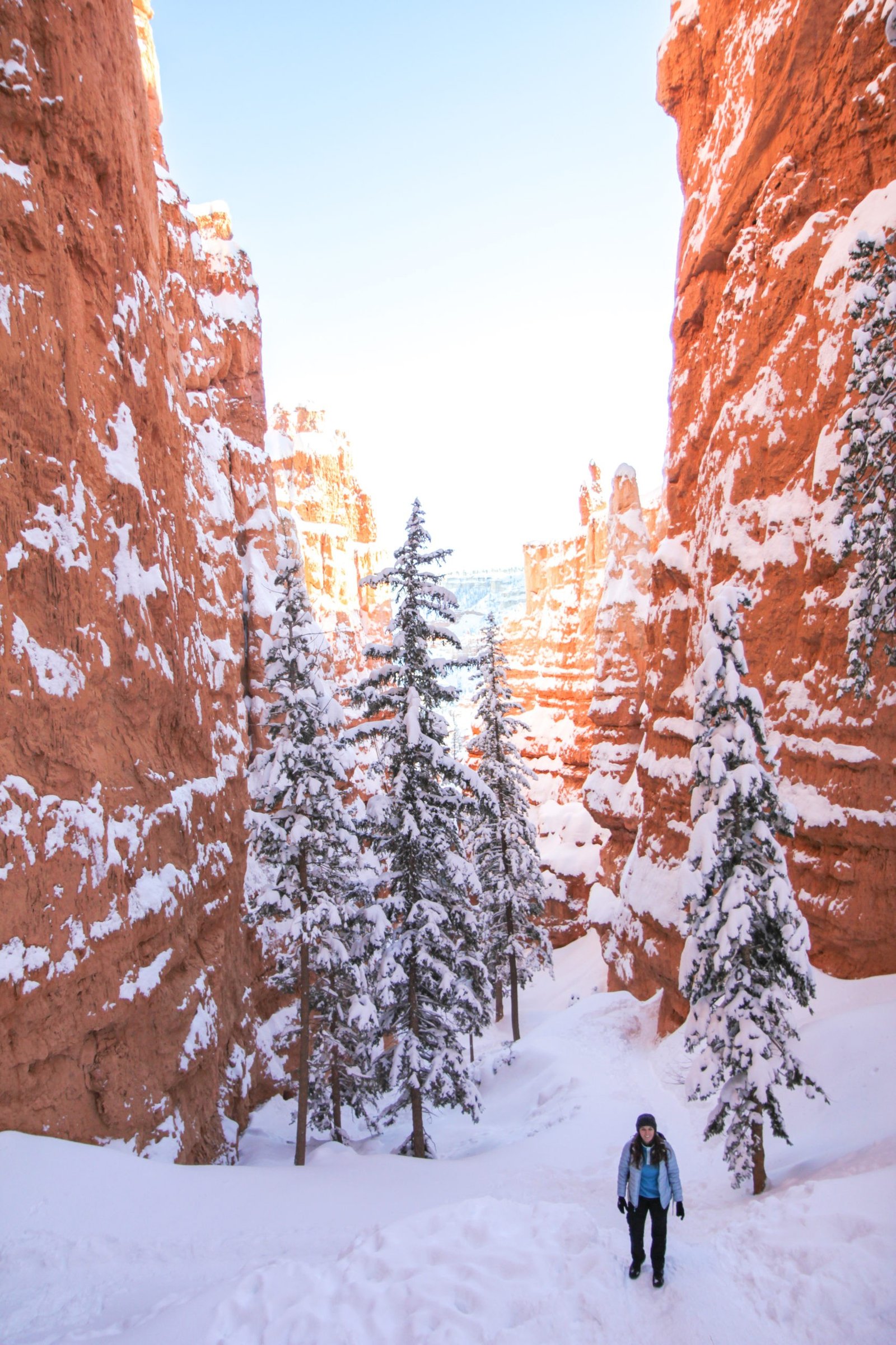 bryce canyon in the winter