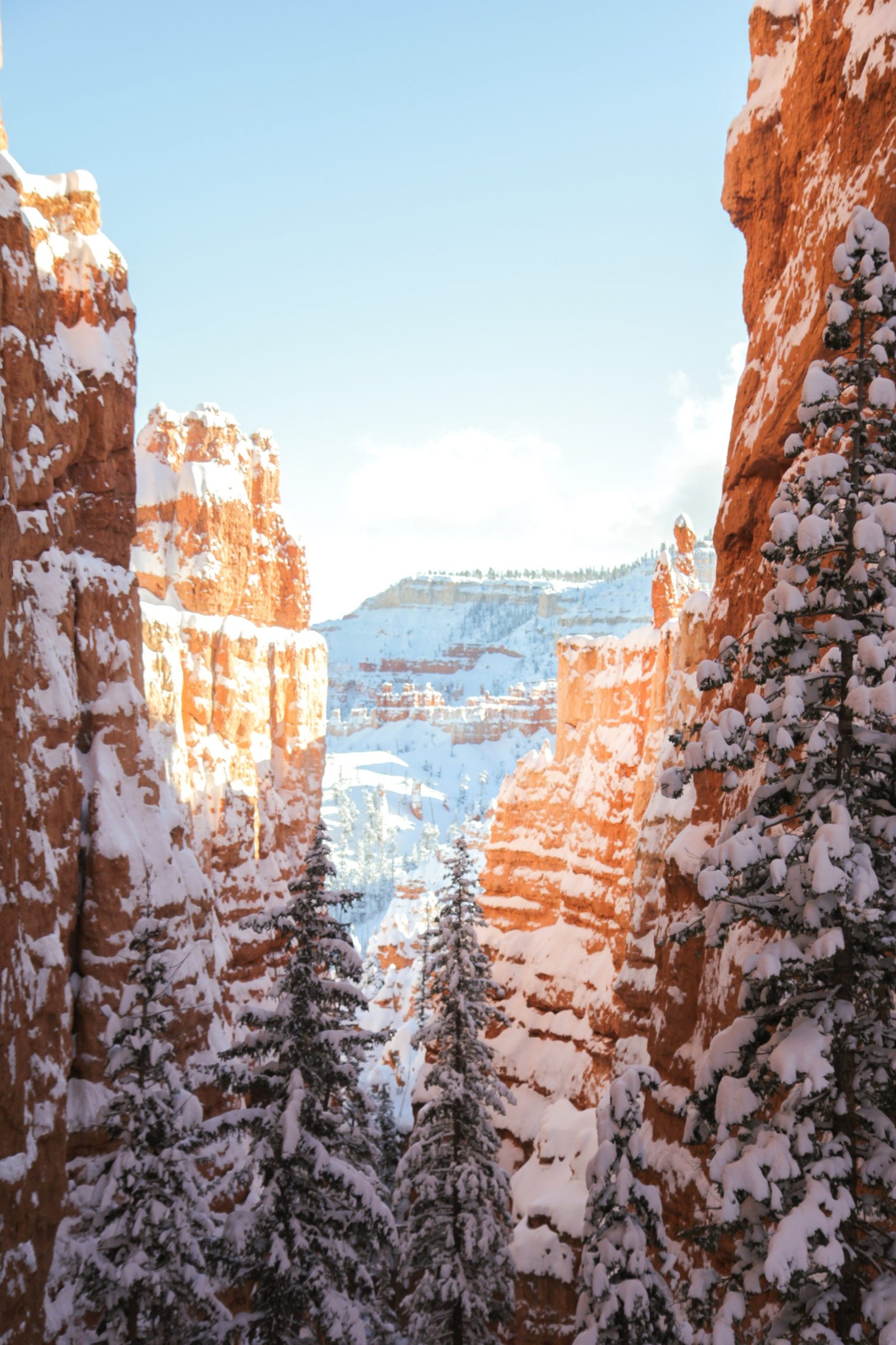bryce canyon national park in the snow