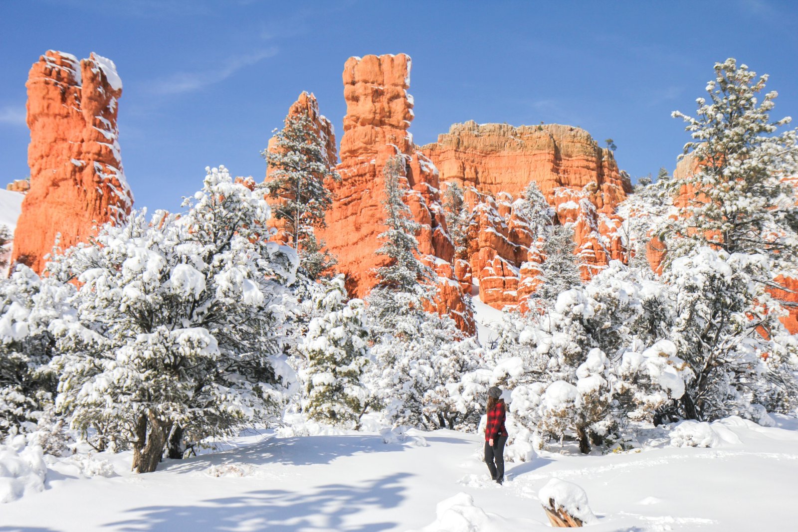 Red canyon in utah