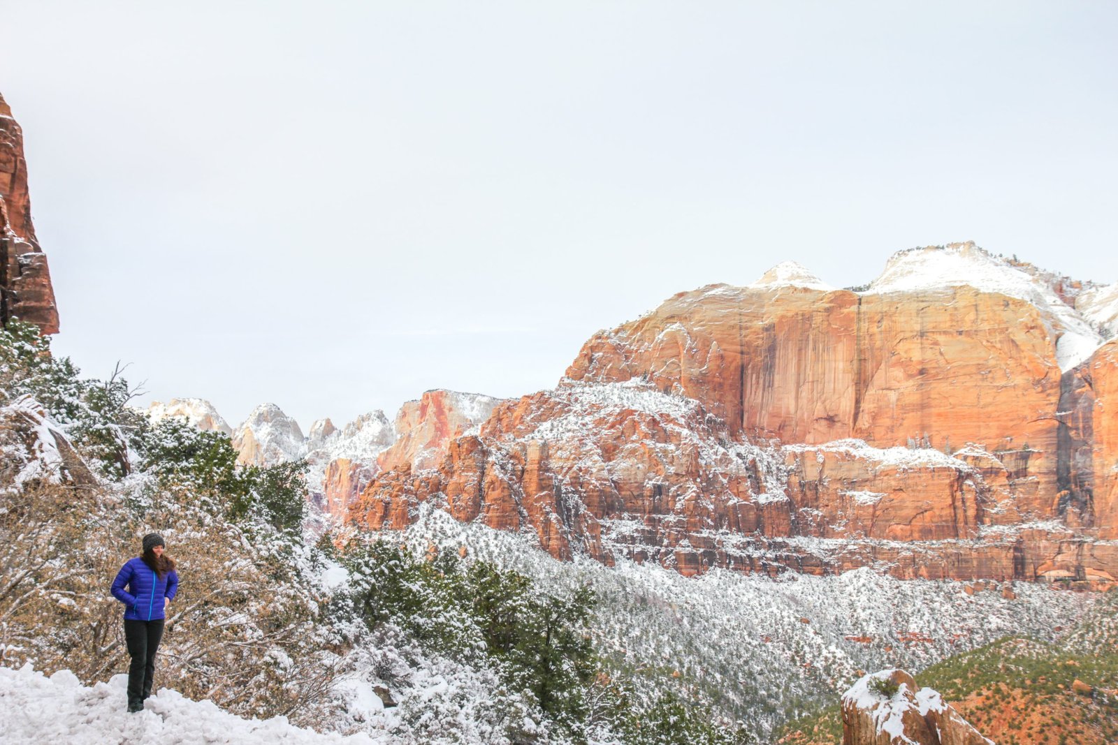 Zion national park in the winter
