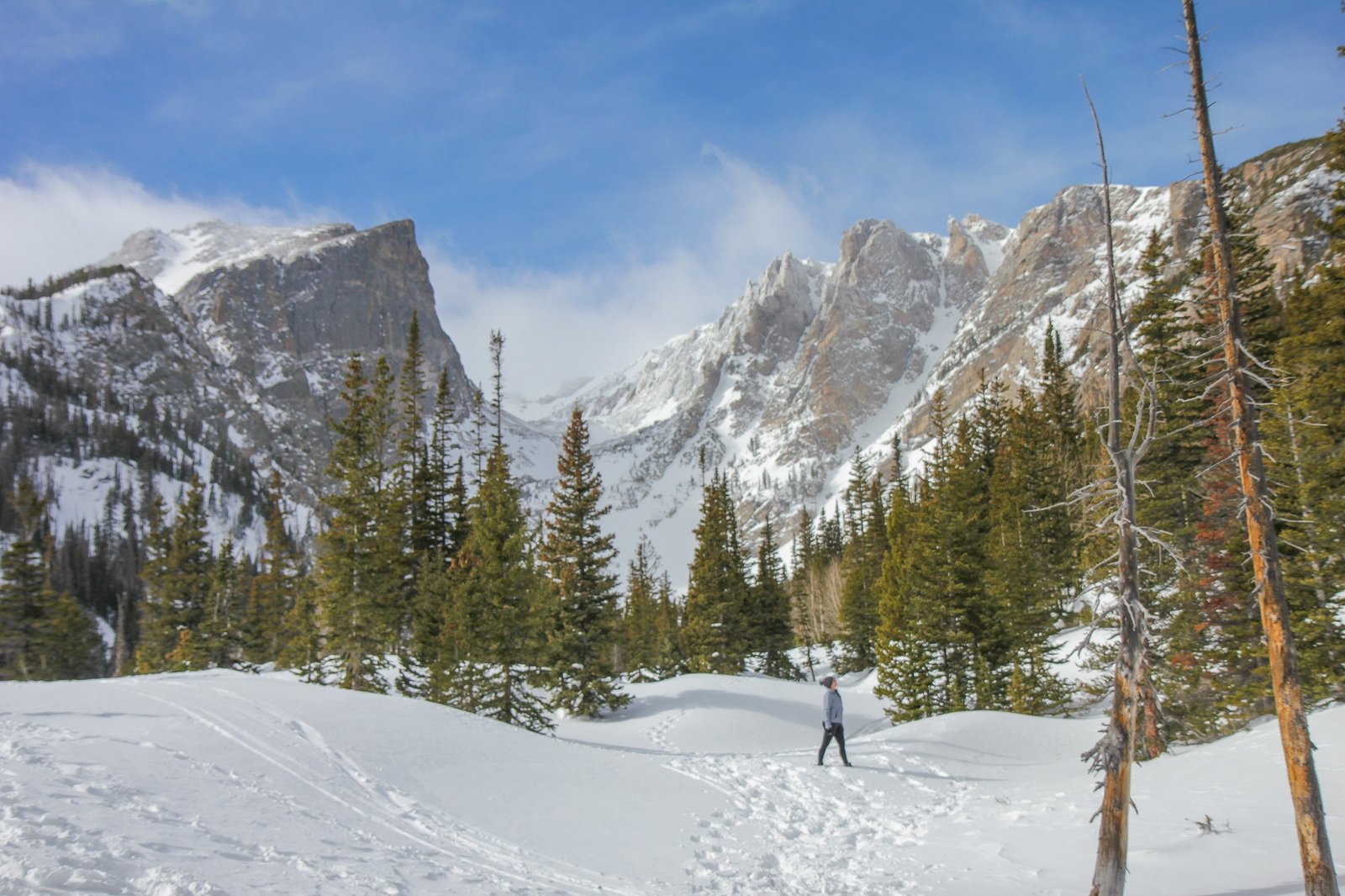 woman staring at trees in the Rocky Mountain National Park