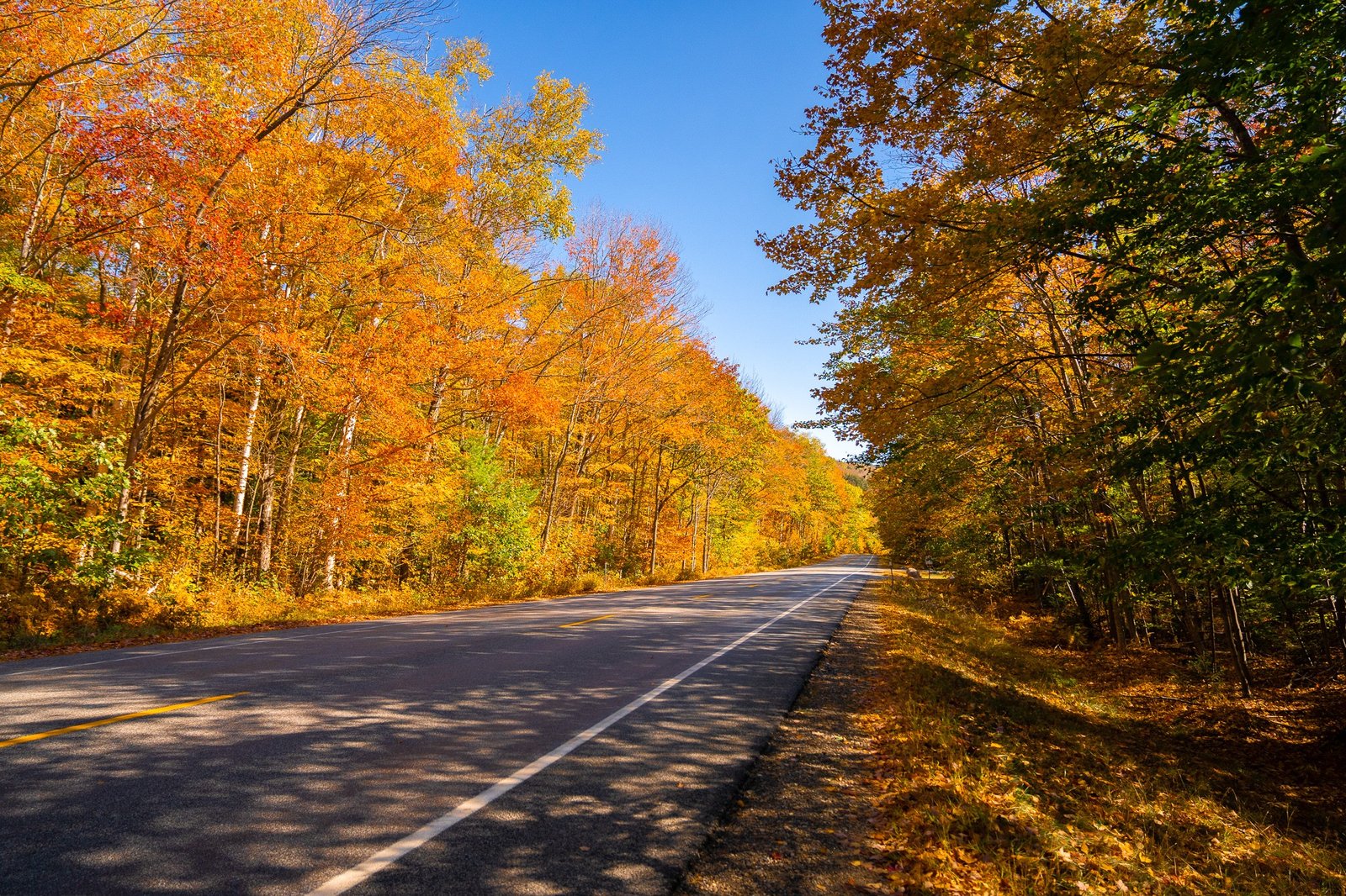 road through fall foliage