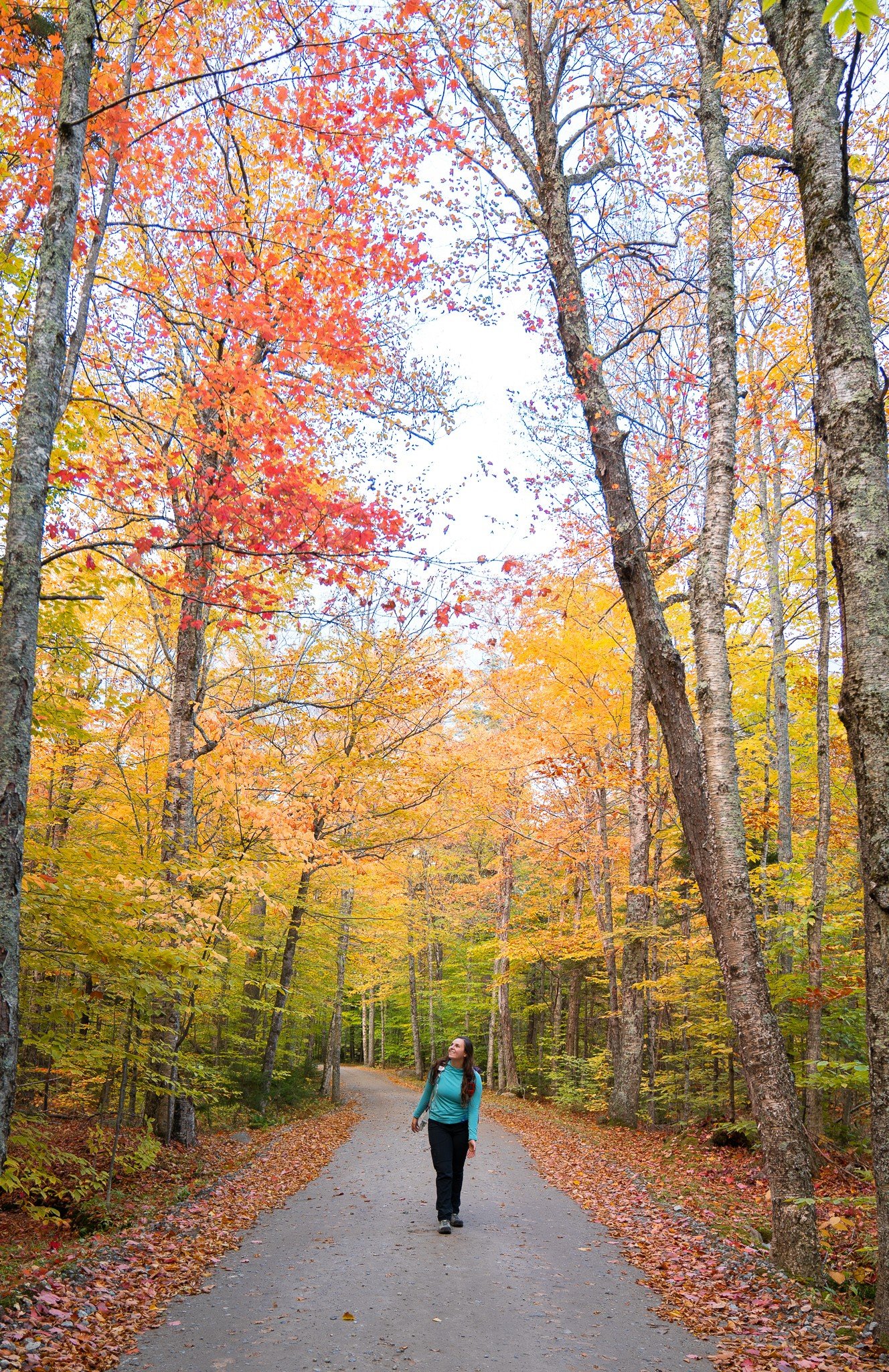 woman walking in the fall colors in new england